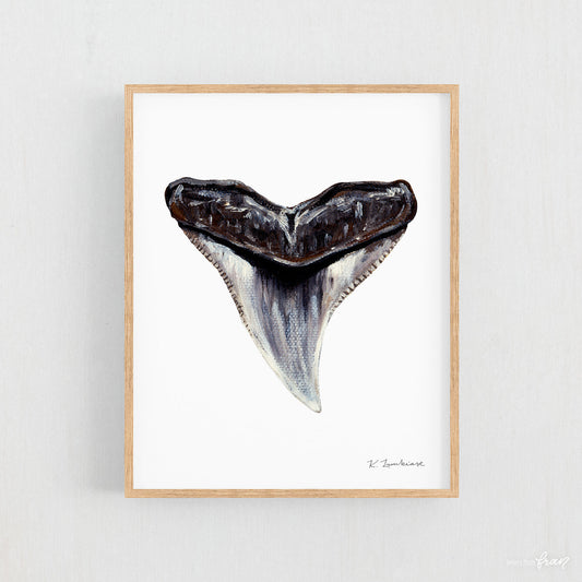 Bull Shark Tooth - Print