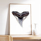 Bull Shark Tooth - Print