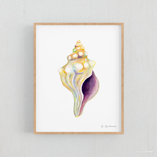 Conch Shell - Print