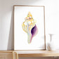 Conch Shell - Print