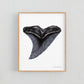 Snaggletooth Shark Tooth - Print
