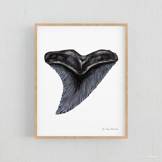 Snaggletooth Shark Tooth - Print
