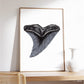 Snaggletooth Shark Tooth - Print