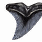 Snaggletooth Shark Tooth - Print