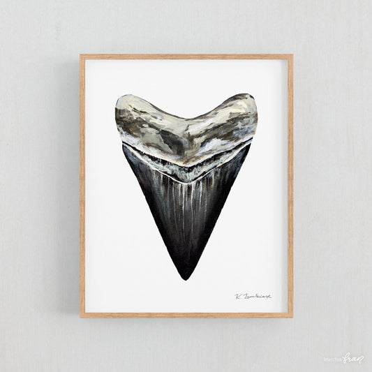 Megalodon Shark Tooth - Print
