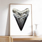Megalodon Shark Tooth - Print