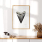 Megalodon Shark Tooth - Print