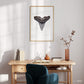 Hammerhead Shark Tooth - Print